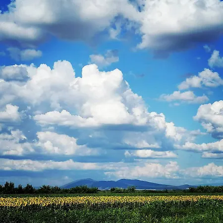 Daire Hills Vrsac