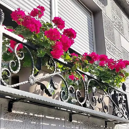 Apartment Hills Vrsac