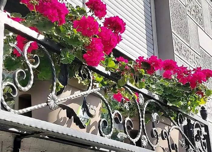 Apartament Hills Vrsac